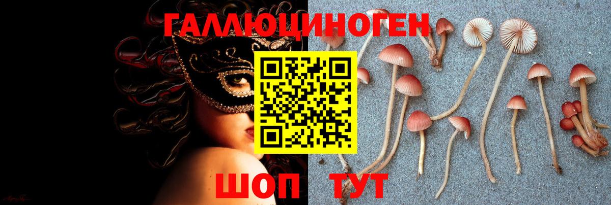 Псилоцибиновые грибы Psilocybe  Вход с VPN  Волжский 