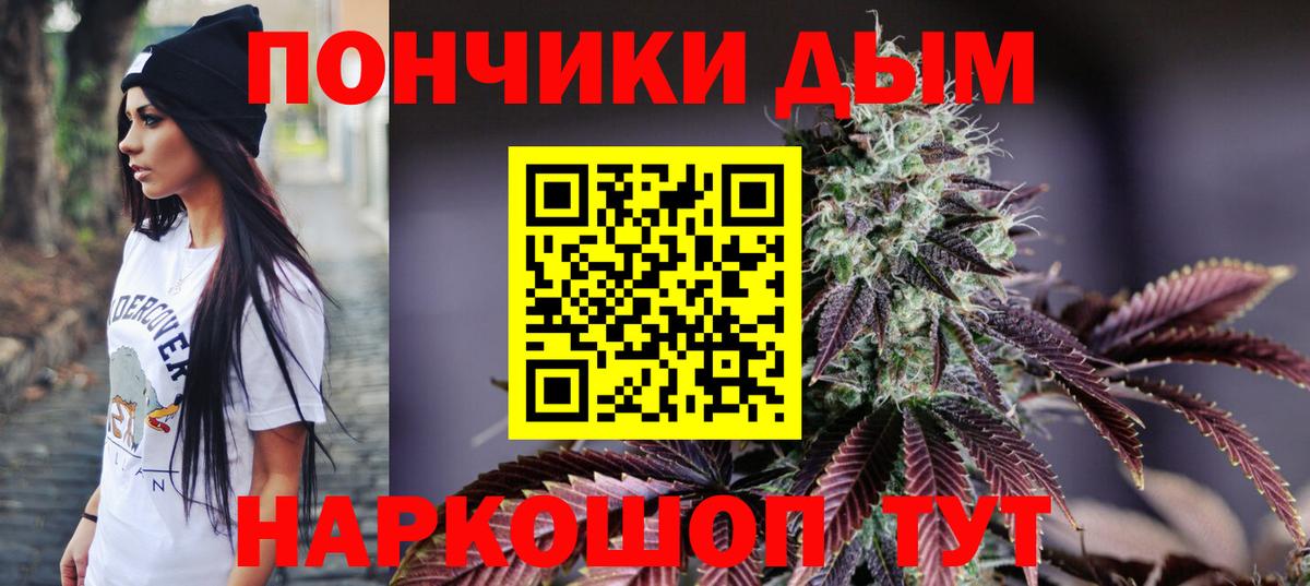 Шишки марихуана гибрид Волжский